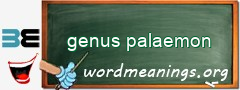 WordMeaning blackboard for genus palaemon